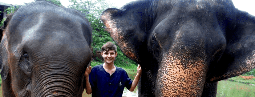 elephants in chiang mai while travelling thailand