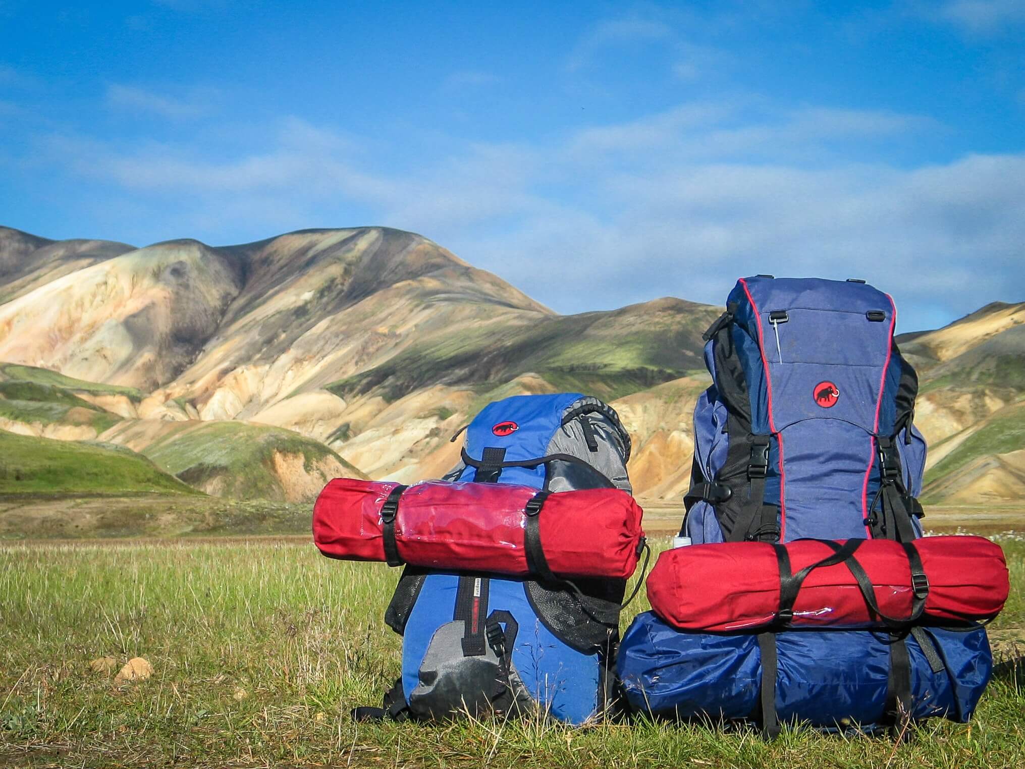 Two travel backpacks in a field.