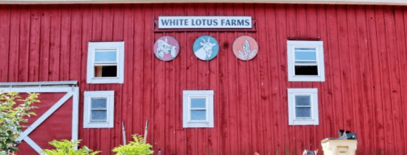 White Lotus Farms in Ann Arbor