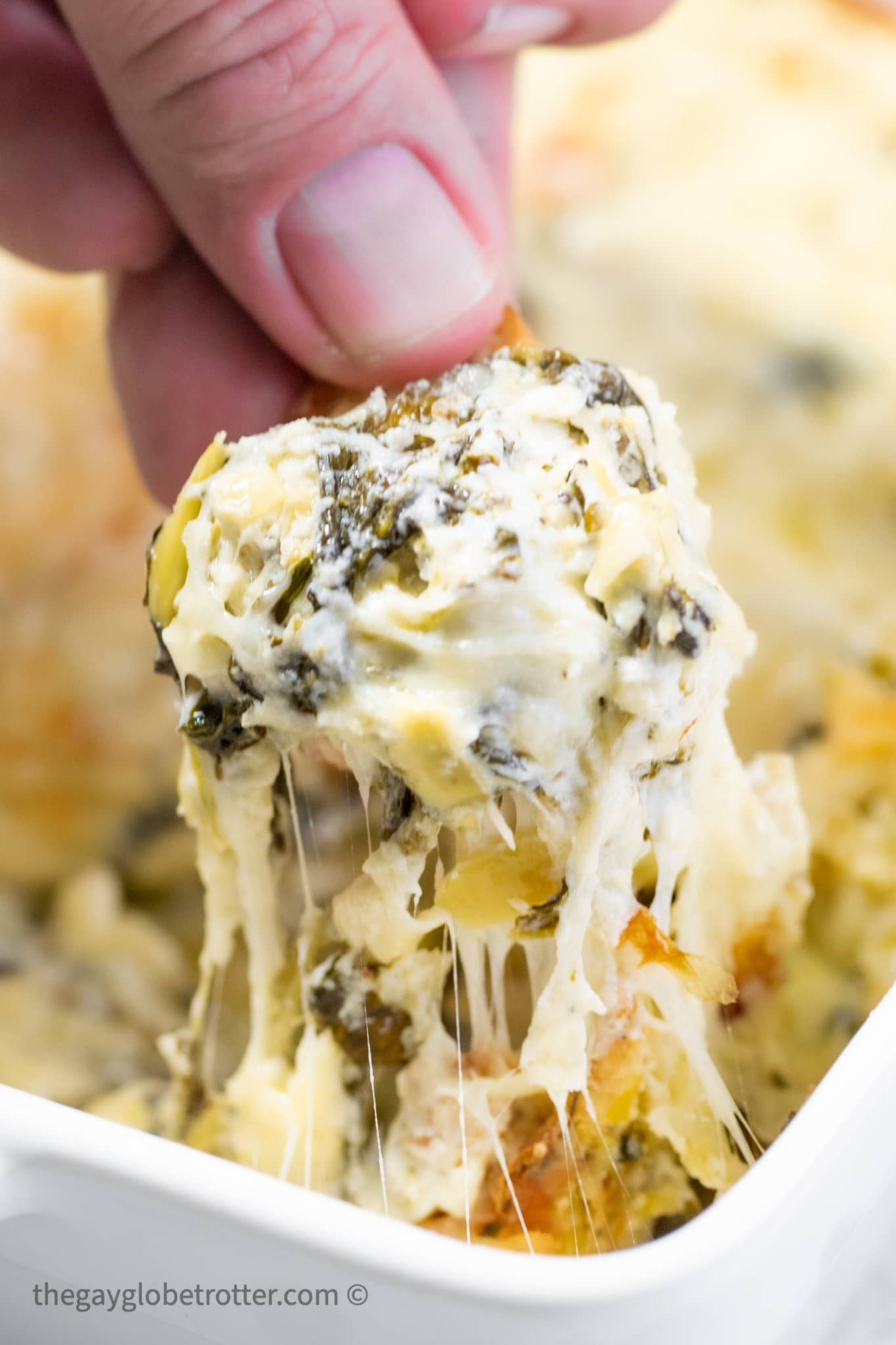 https://www.thegayglobetrotter.com/wp-content/uploads/2020/12/hot-spinach-artichoke-dip.jpg