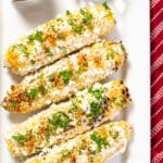 Mexican street corn on a plate with cilantro and chili powder.