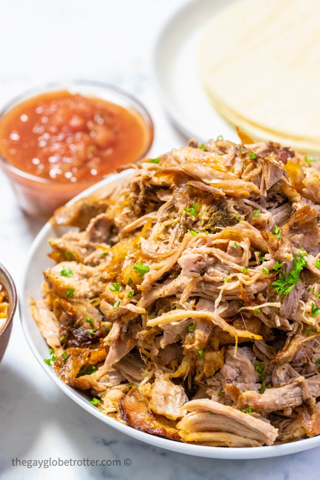 Slow Cooker Pork Carnitas {So Easy!} The Gay Globetrotter