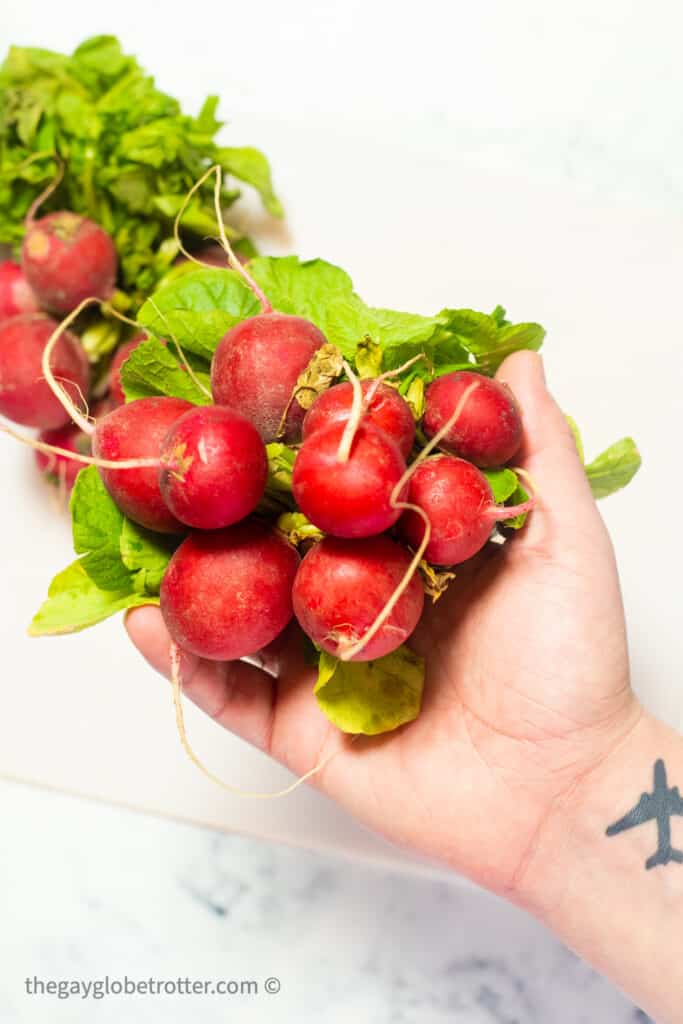 A hand holding a bunch of radishes with greens.