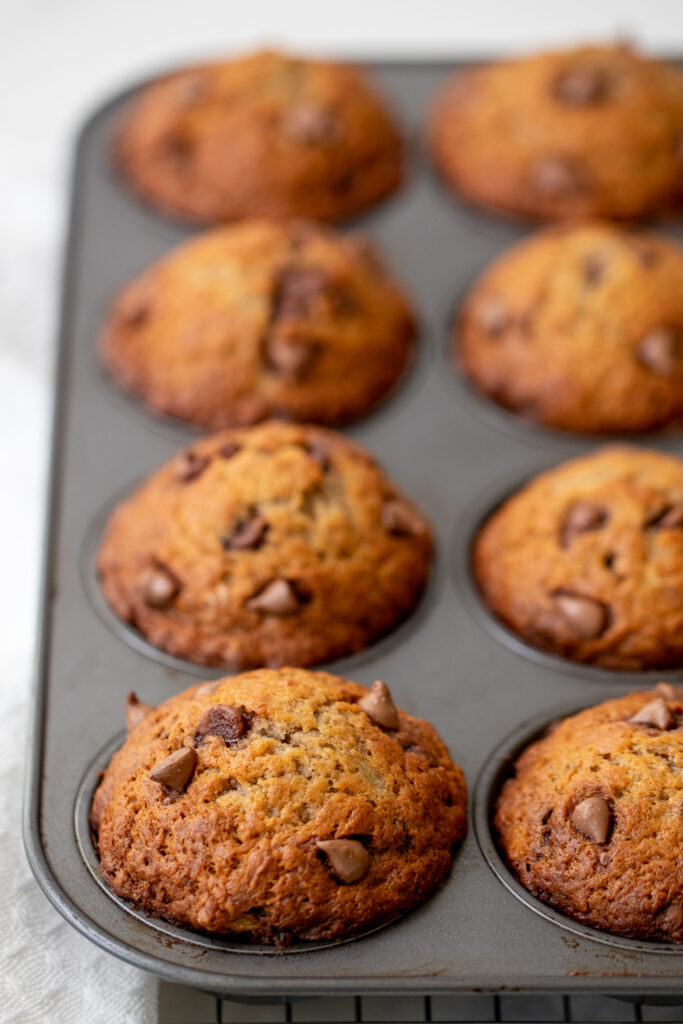 Banana chocolate chip muffins cooling in a muffin tray.